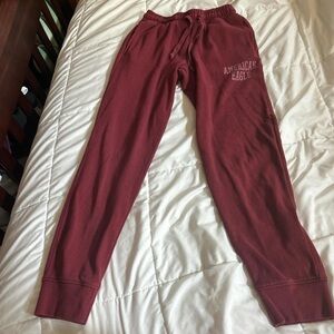 American Eagle Outfitters Burgundy Fleece Pants